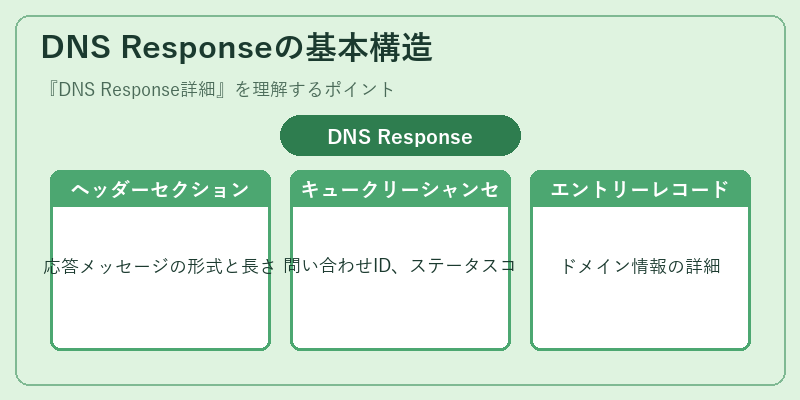 DNS Responseの基本構造