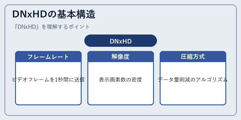 DNxHDの基本構造