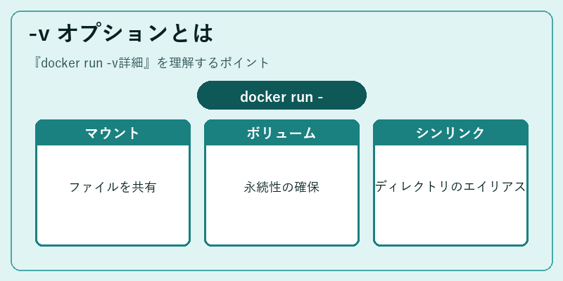 -v オプションとは