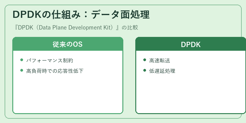 DPDKの仕組み：データ面処理
