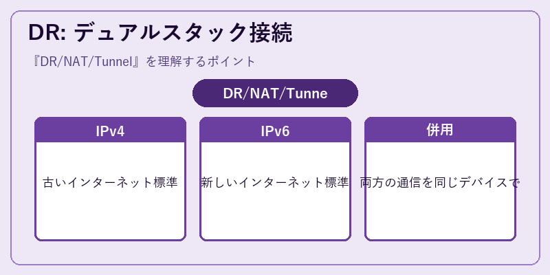 DR: デュアルスタック接続