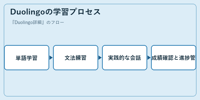 Duolingoの学習プロセス