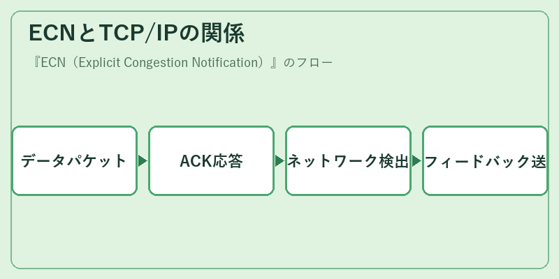 ECNとTCP/IPの関係