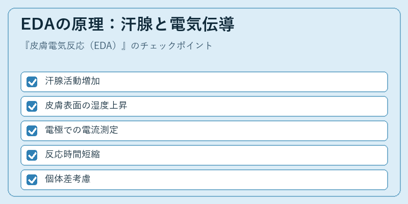 EDAの原理：汗腺と電気伝導