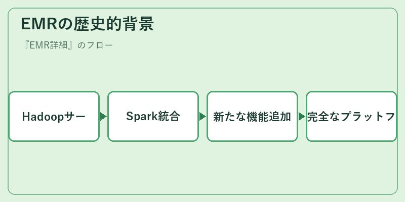 EMRの歴史的背景