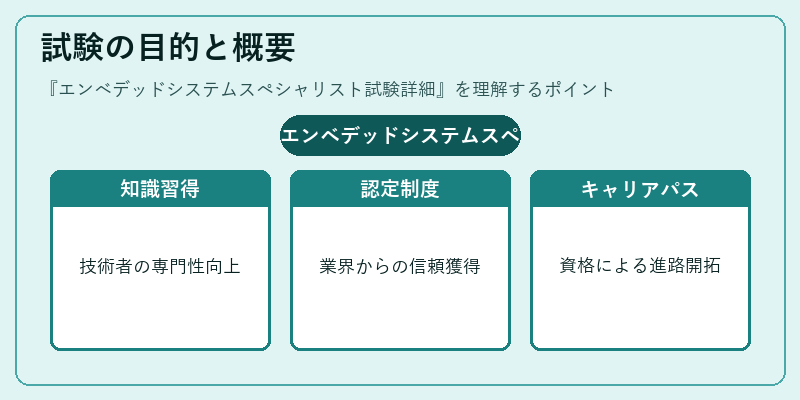 試験の目的と概要