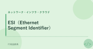 ESI（Ethernet Segment Identifier） アイキャッチ