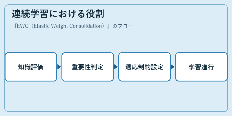連続学習における役割