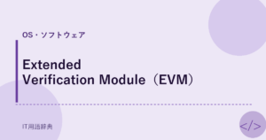 Extended Verification Module（EVM） アイキャッチ