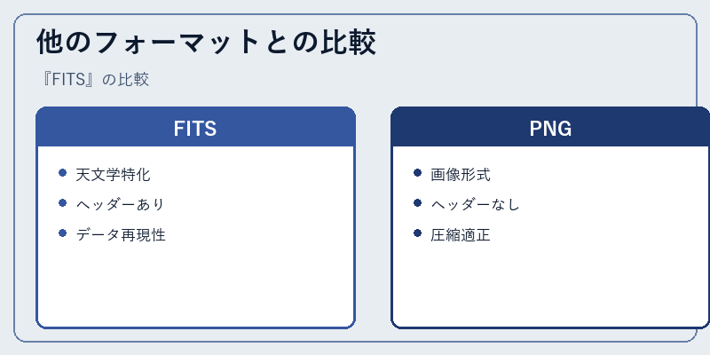 他のフォーマットとの比較