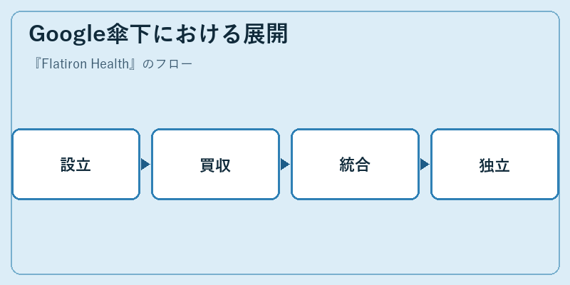 Google傘下における展開
