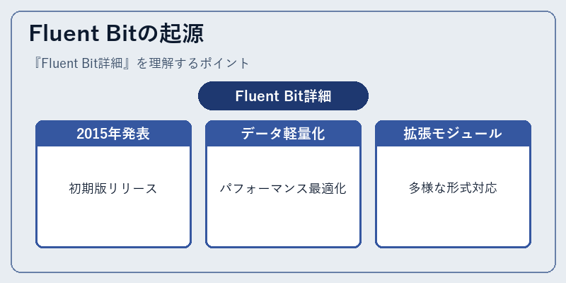 Fluent Bitの起源