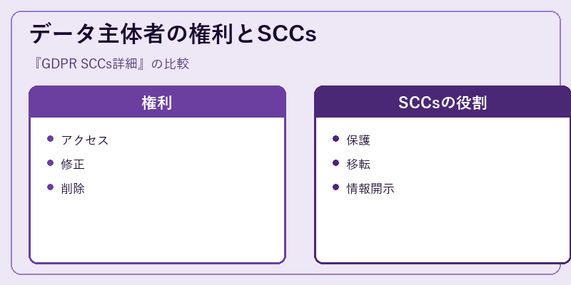 データ主体者の権利とSCCs