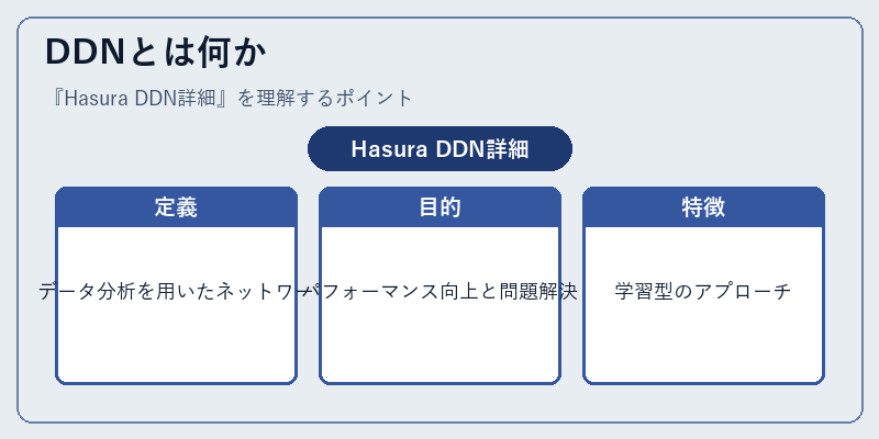 DDNとは何か