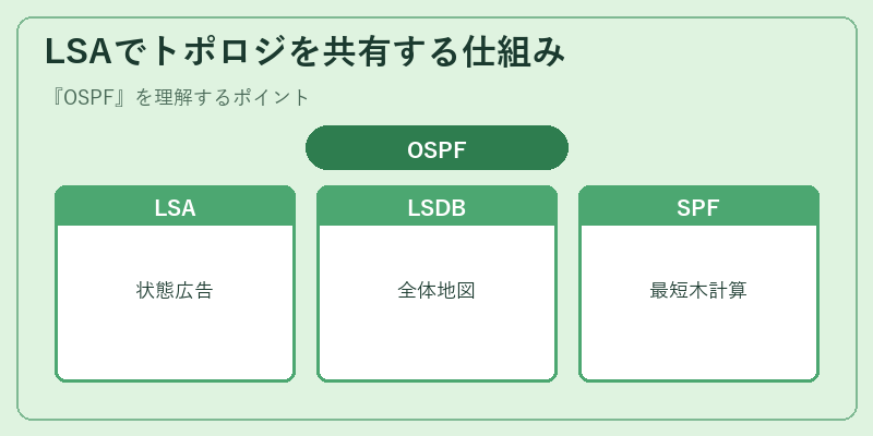 LSAでトポロジを共有する仕組み
