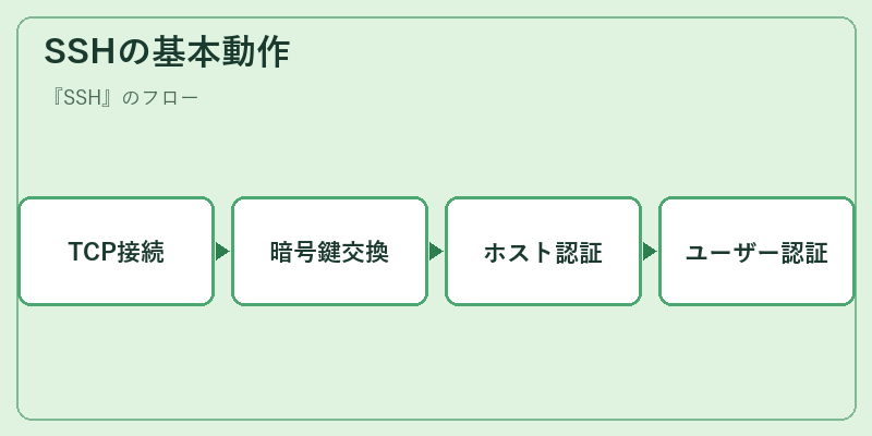 SSHの基本動作